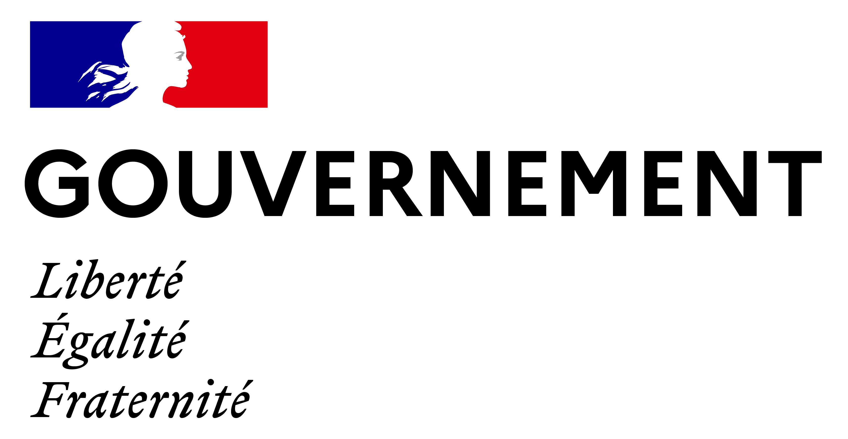 Logo du Gouvernement Français