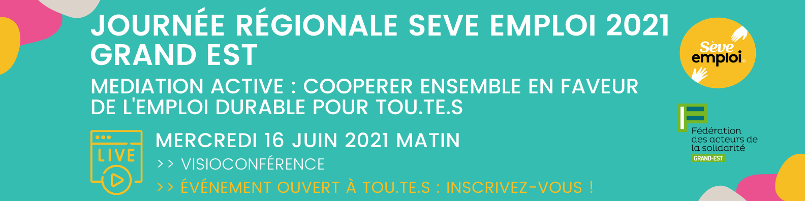 Participez au webinaire SEVE Emploi le 16 juin organisé par la Fédération des acteurs de la solidarité Grand Est