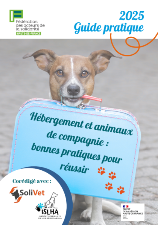 Hébergement et animaux de compagnie : bonnes pratiques pour réussir