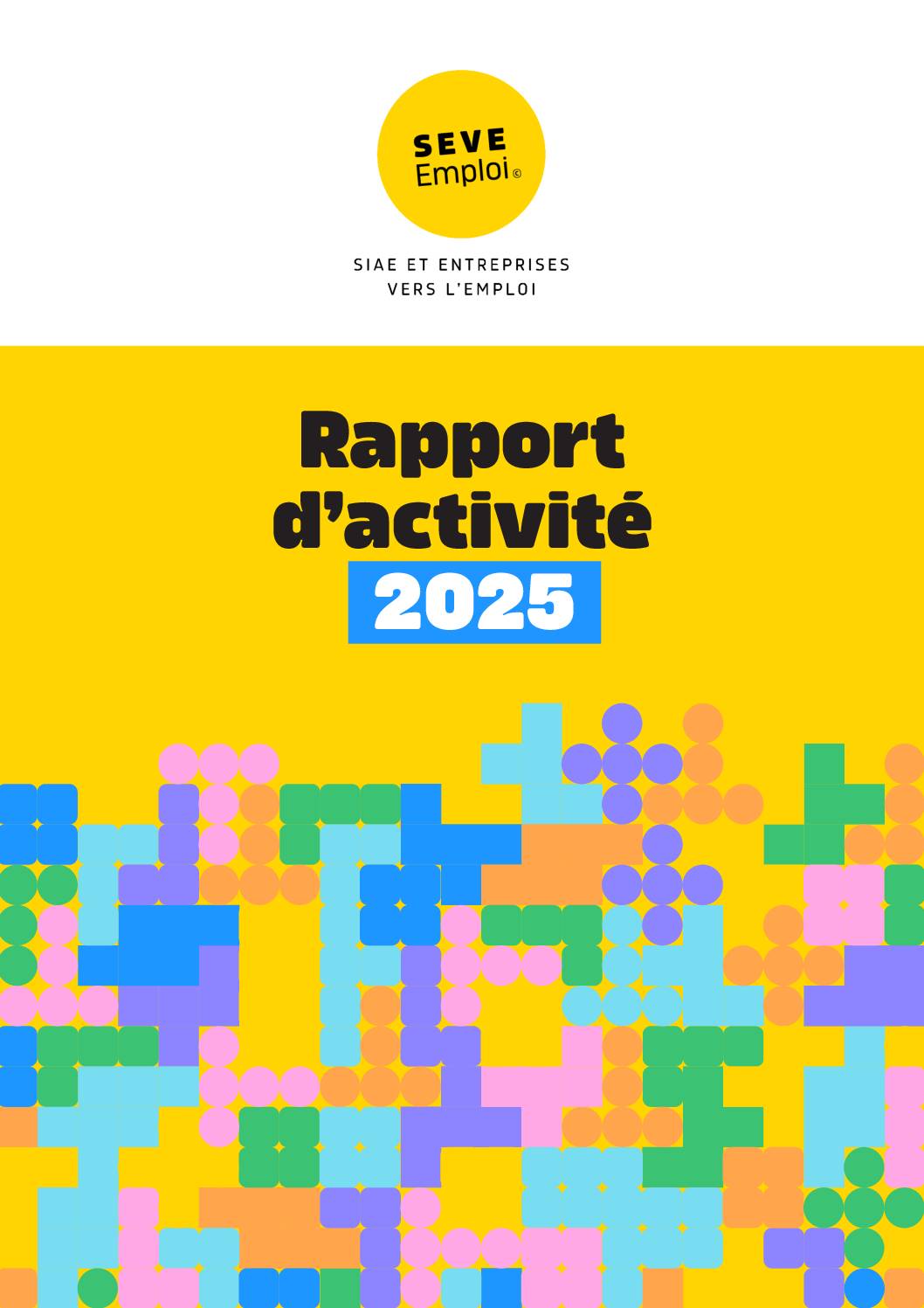 SEVE Emploi - Rapport d'activité 2025